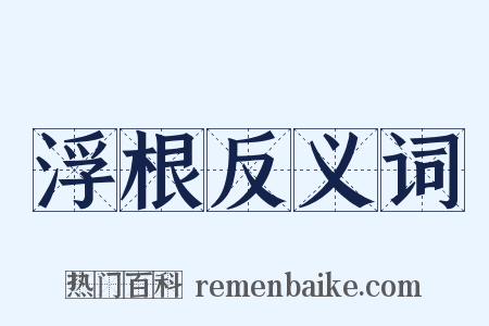 浮根反义词是什么意思的图片
